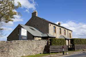 house above cow and calf sm.jpg